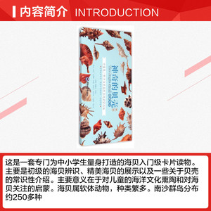 神奇的贝壳 启蒙大卡 第1辑 正版书籍 新华书店旗舰店文轩官网 中国海洋大学出版社