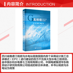 高拱坝边坡开挖与治理 周强,庄海龙,刘明生 正版书籍 新华书店旗舰店文轩官网 四川大学出版社