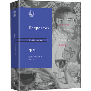 少年 (俄罗斯)陀思妥耶夫斯基 正版书籍小说畅销书 新华书店旗舰店文轩官网 生活读书新知三联书店