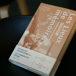 记忆之场 法国国民意识的文化社会史 (法)皮埃尔·诺拉(Pierre Nora) 正版书籍小说畅销书 新华书店旗舰店文轩官网 南京大学出版社