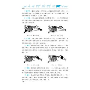 南阳牛(精)/中国特色畜禽遗传资源保护与利用丛书 王建钦 王玉海 茹宝瑞 主编 正版书籍 新华书店旗舰店文轩官网 中国农业出版社