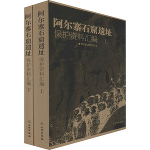 阿尔寨石窟遗址保护资料汇编(全2册) 文物出版社 正版书籍 新华书店旗舰店文轩官网