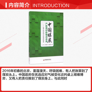 中国煤炭产能调控的模式选择 丛威,陈海亮,赵龙祥 著 中国经济出版社 正版书籍 新华书店旗舰店文轩官网