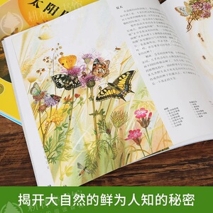 最美的科普全6册第2辑 少年版花园时钟种子森林药草绿色鸟的时钟迁徙的季节三年级必读小学生课外书阅读自然科普绘本图画书