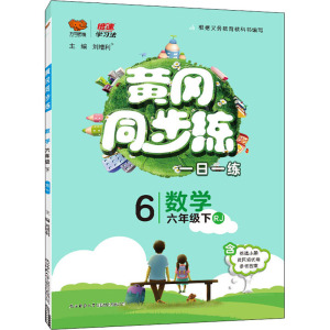 2021春新版 黄冈同步训练数学六年级下册 人教版小学6年级下册同步训练 教辅同步教材课课练天天练黄冈同步训练提升练习题新华正版