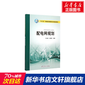 配电网规划(十三五普通高等教育本科规划教材) 朴在林 孟晓芳 编著 正版书籍 新华书店旗舰店文轩官网 中国电力出版社