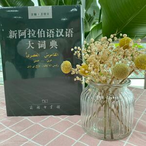 新阿拉伯语汉语大词典 正版书籍 新华书店旗舰店文轩官网 商务印书馆