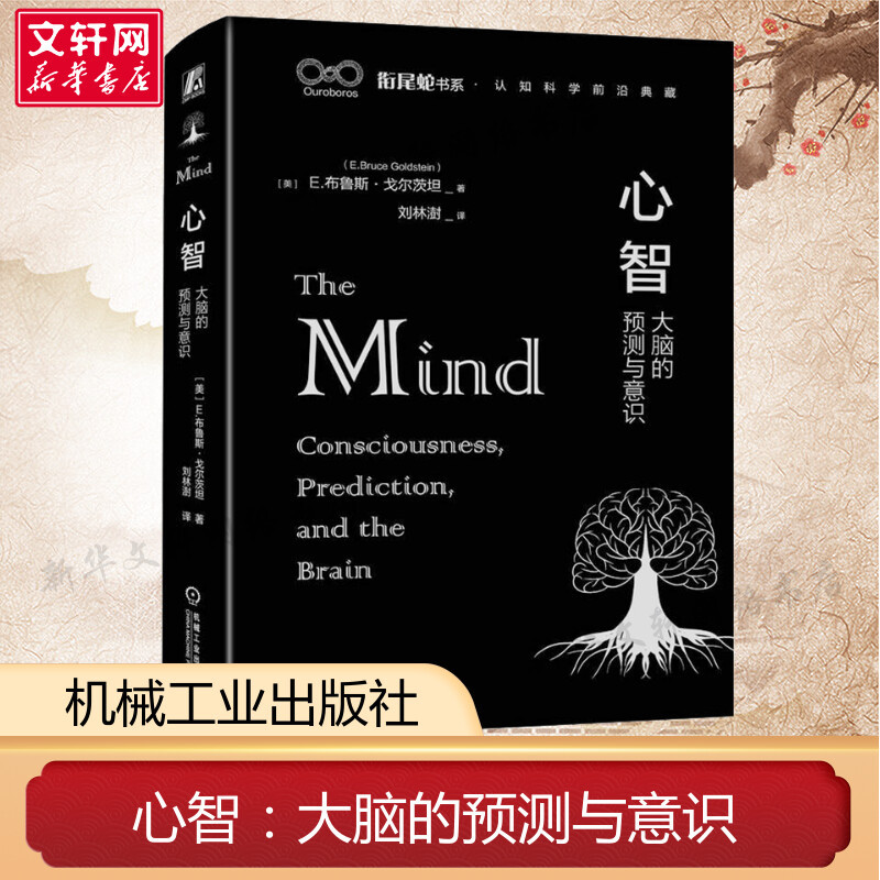 Mind, Brain, and Consciousness: Predictions and Awareness by Bruce Golberg - the Theory of Mind-Brain Connection, Conscious Experience, Neurocorrelates, Brain Damage, Subconscious Processes, Static Perception, Action, Life Cycle - Authentic Books