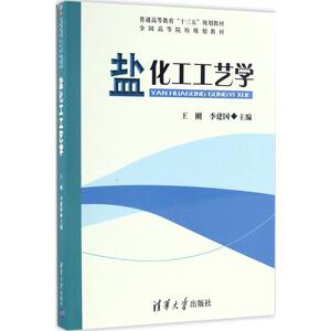 盐化工工艺学 王刚,李建国 主编 正版书籍 新华书店旗舰店文轩官网 清华大学出版社