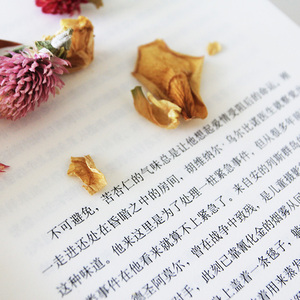 【正版包邮】霍乱时期的爱情 2020新版 百年孤独作者加西亚马尔克斯精装正版外国现当代文学世界名著爱情小说畅销书春风十里不如你