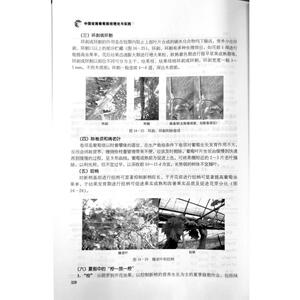 中国设施葡萄栽培理论与实践 王海波 等 正版书籍 新华书店旗舰店文轩官网 中国农业出版社
