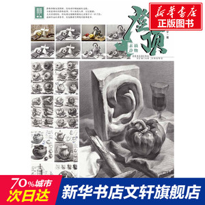 登顶 素描静物 刘峻宇 正版书籍 新华书店旗舰店文轩官网 重庆出版社
