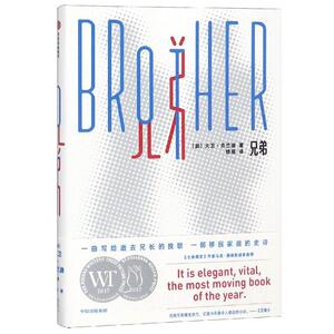 兄弟 [加]大卫·克兰迪 正版书籍小说畅销书 新华书店旗舰店文轩官网 中信出版社