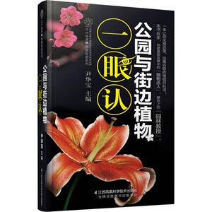 公园与街边植物一眼认 尹华宝 主编 正版书籍 新华书店旗舰店文轩官网 江苏凤凰科学技术出版社有限公司