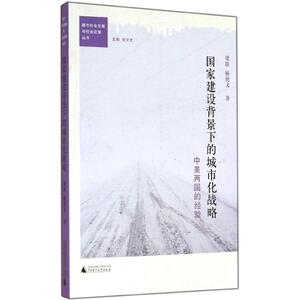国家建设背景下的城市化战略 梁波 广西师范大学出版社 正版书籍 新华书店旗舰店文轩官网