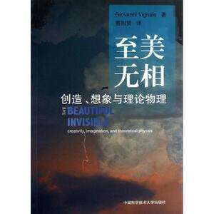 至美无相创造想象与理论物理 (意)维尼亚勒 正版书籍 新华书店旗舰店文轩官网 中国科学技术大学出版社