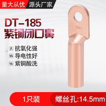 DT-185 square T2 red copper National Standard closed copper nose wire ear wire nose cold pressed terminal pickling oil