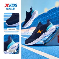 Глубокая синяя/заливная сетчатая кружева