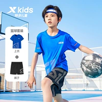 Королевский синий