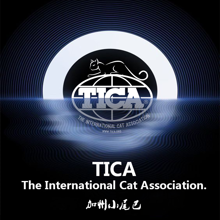[USD 33.39] Registration TICA Certificate of Origin TICA Cat House Cat