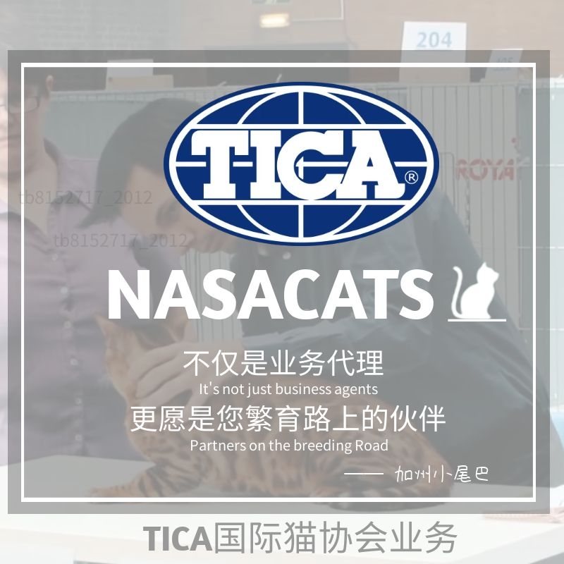 Registration TICA pedigree certificate TICA cat house cat certificate TICA certificate TICA certificate TICA CFA cat house registration