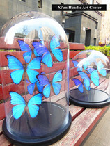 Large glass cover butterfly specimens custom custom-made art plastic hotel coffee shop restaurant ornaments