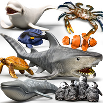 Shark toy simulation animal model Sea life Children boy Sperm Whale Turtle Tiger shark Lobster Crab