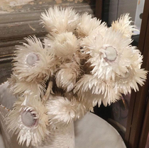 A long time with the new natural dry branches really dry flowers dry branches Literary retro home B & B window living room decoration ornaments