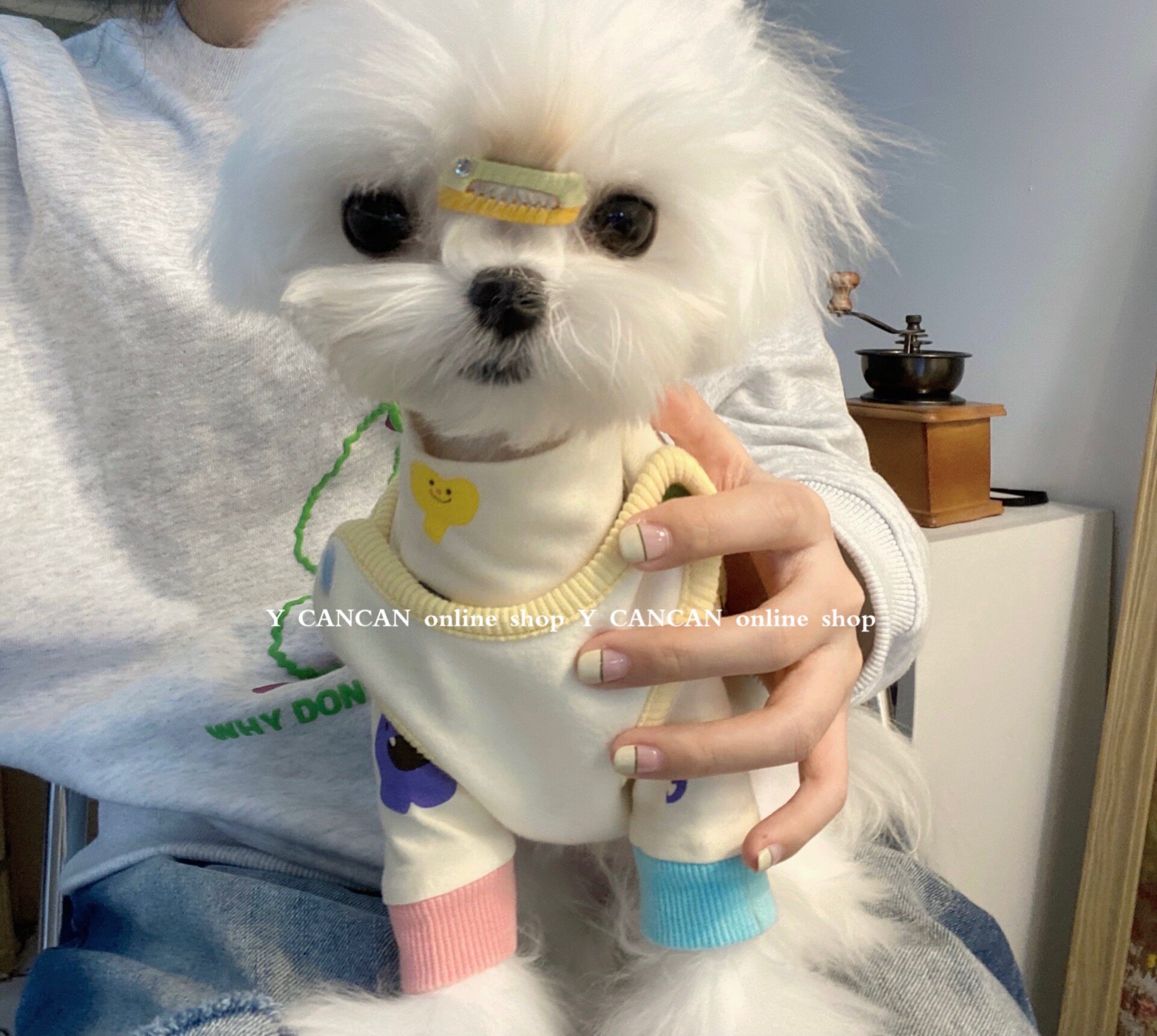 YCANCAN 秋冬新款加绒马甲宠物猫狗狗衣服纯棉背心打底衫玛尔济斯