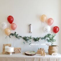 ins Wind baby 1 year old birthday layout background wall baby girl party balloon decoration scene dress up