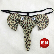  Mens thong sexy mens JJ set elephant nose underwear temptation transparent underwear shopkeeper real shot