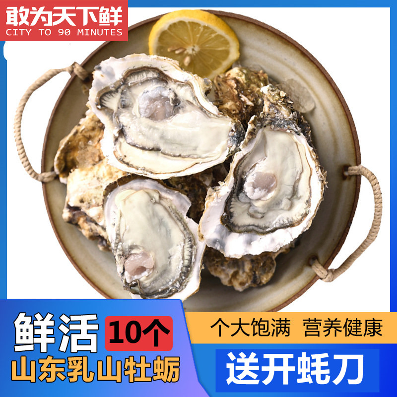 Send oysters 10 only in Beijing Semites Fresh Milk Mountain Raw Oysters Oyster Sea Oysters Barbecue Seafood Aquatic 