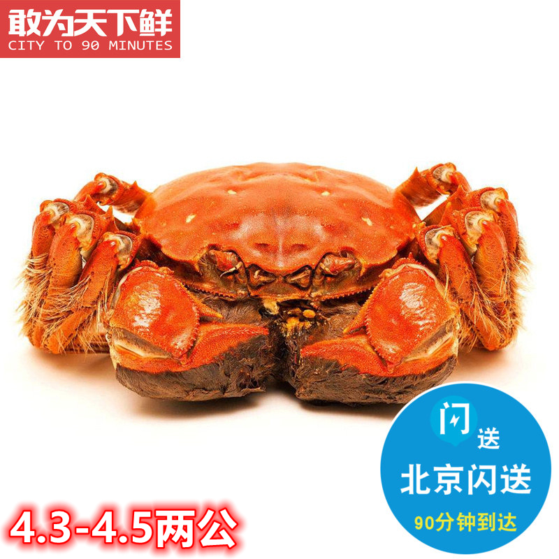 Public 4 3-4 5 taels Beijing flash delivery spot river crabs fresh crabs hairy crabs full of meat and cream 3 starting shots