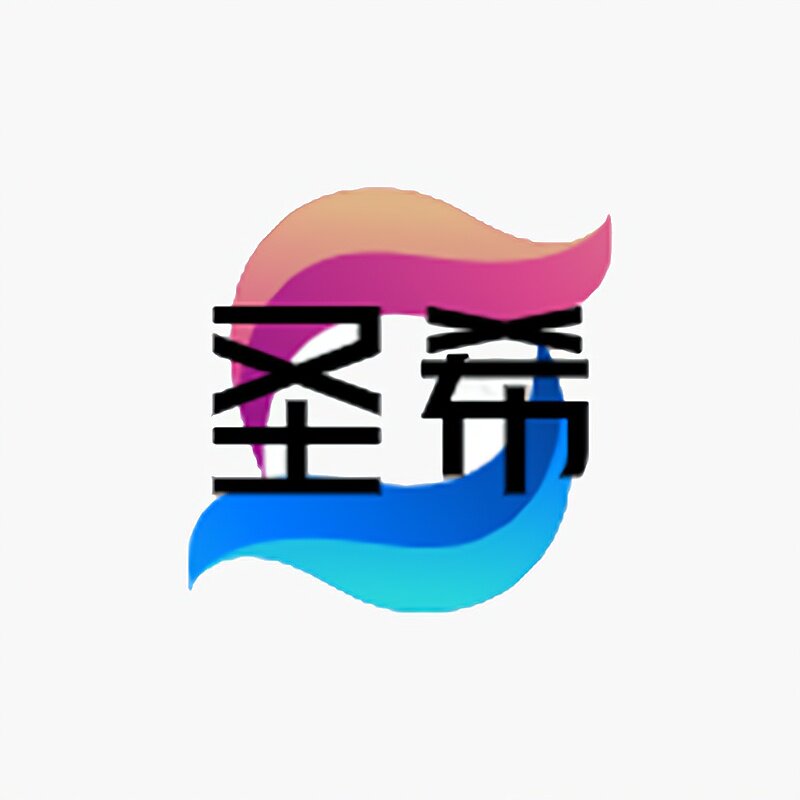 圣希网络的LOGO
