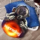 3D Space Dog (новая весна)