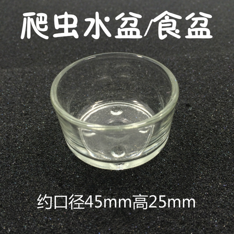 Reptile transparent glass food basin water basin drinking bowl plate lizard snake spider gecko turtle scorpion centipede cricket