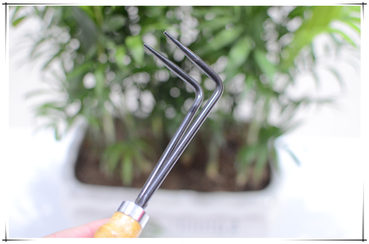 Đơn răng kép chậu dao móc gốc thép không gỉ bonsai công cụ thay đổi lưu vực gốc vườn cung cấp chủ cửa hàng chậu trồng rau
