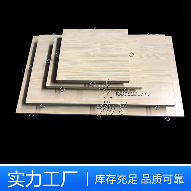 小鼠手术台 大鼠手术台 大鼠解剖板 动物固定板 老鼠实验固定板灯