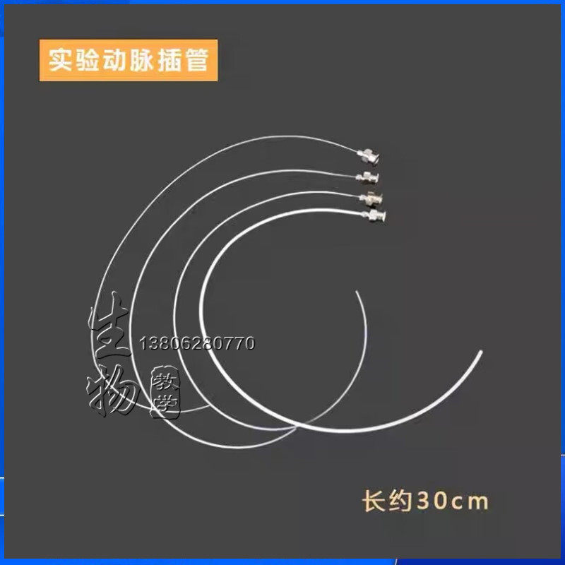 大、小鼠 兔子 小动物动静脉插管 动脉插管 静脉插管 颈动脉插管