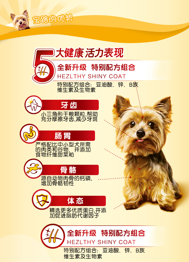 Thức ăn cho chó Baolu thức ăn chính cho chó Teddy hơn Xiong Bomei VIP cỡ trung bình cỡ nhỏ dành cho người lớn gà hương vị 4kg - Chó Staples thức ăn chó ganador