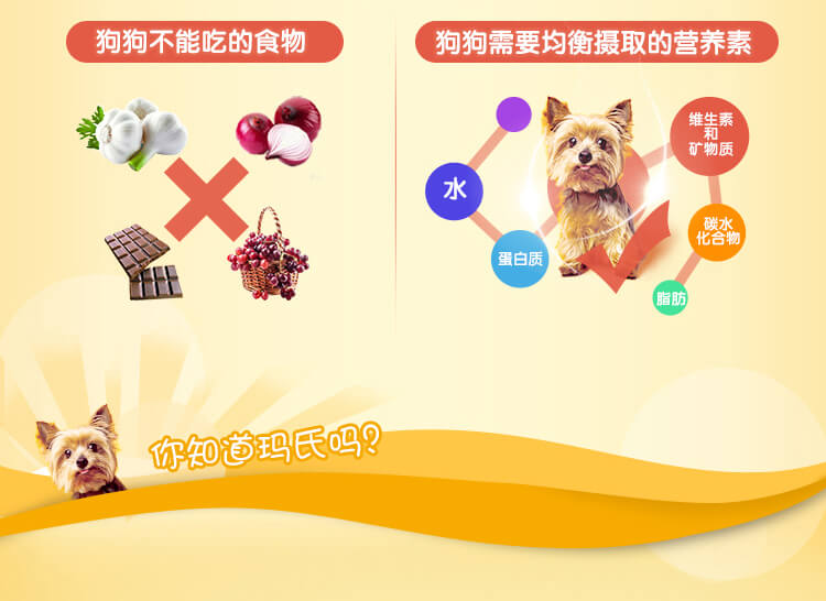 Baolu Miao gói tươi vào thức ăn ướt cho chó thức ăn cho chó - Đồ ăn vặt cho chó bán thức ăn cho chó