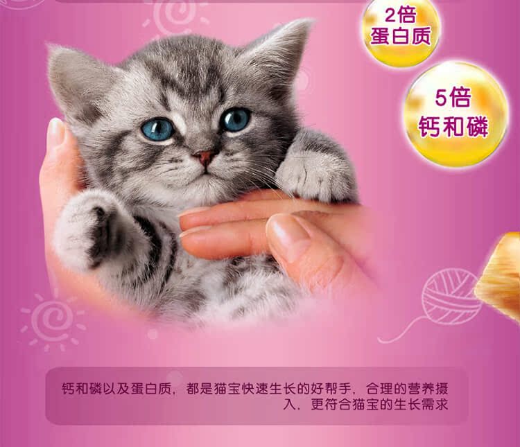 Thức ăn cho mèo mới của mèo vàng thức ăn cho mèo thức ăn cho mèo thức ăn cho mèo sữa giúp cá hồi lông ngắn của Anh dài 2kg * 2 - Cat Staples hạt cho mèo con