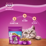 Флагманский магазин Weijia cheng Cat Cat Cat Food Food 1,3 кг британская короткая красавица короткоштра