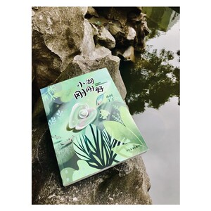 小湖刚刚好 小河丁丁著少年儿童出版社儿童阅读书籍课外阅读儿童文学童话故事适合一二三四五六年级小学生阅读