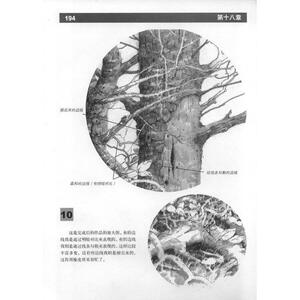 风景素描基础经典版 西方经典美术技法 菲尔·梅茨格 经典风景画静物实用素描技法 自学入门基础画法 上海人民美术出版社