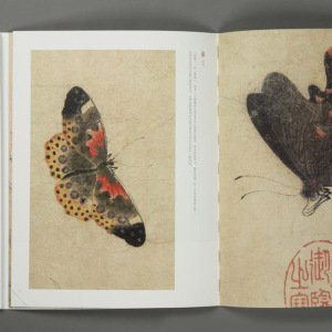 中国绘画名品赵昌写生蛱蝶图 中国美术正版画册书籍宋代赵昌代表性传世品墨笔元代冯子振赵岩题诗明代董其昌题跋 上海书画出版社