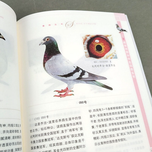 赛鸽全书 鸽眼新说 顾澄海/海久武 赛鸽丛书 花鸟鱼虫宠物 生活休闲 上海科技 世纪出版