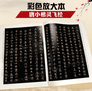 唐小楷灵飞经(彩色放大本中国著名碑帖) 孙宝文 书法碑帖 上海辞书 世纪出版 图书籍