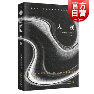 入夜 康奈尔伍里奇黑色悬疑小说系列 外国小说文学 上海文艺 世纪出版