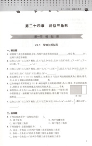 跟着名师学数学 新教材全练 九年级全一册数学专项训练 题库解题技巧知识大全 沈东辰 上海教育出版社